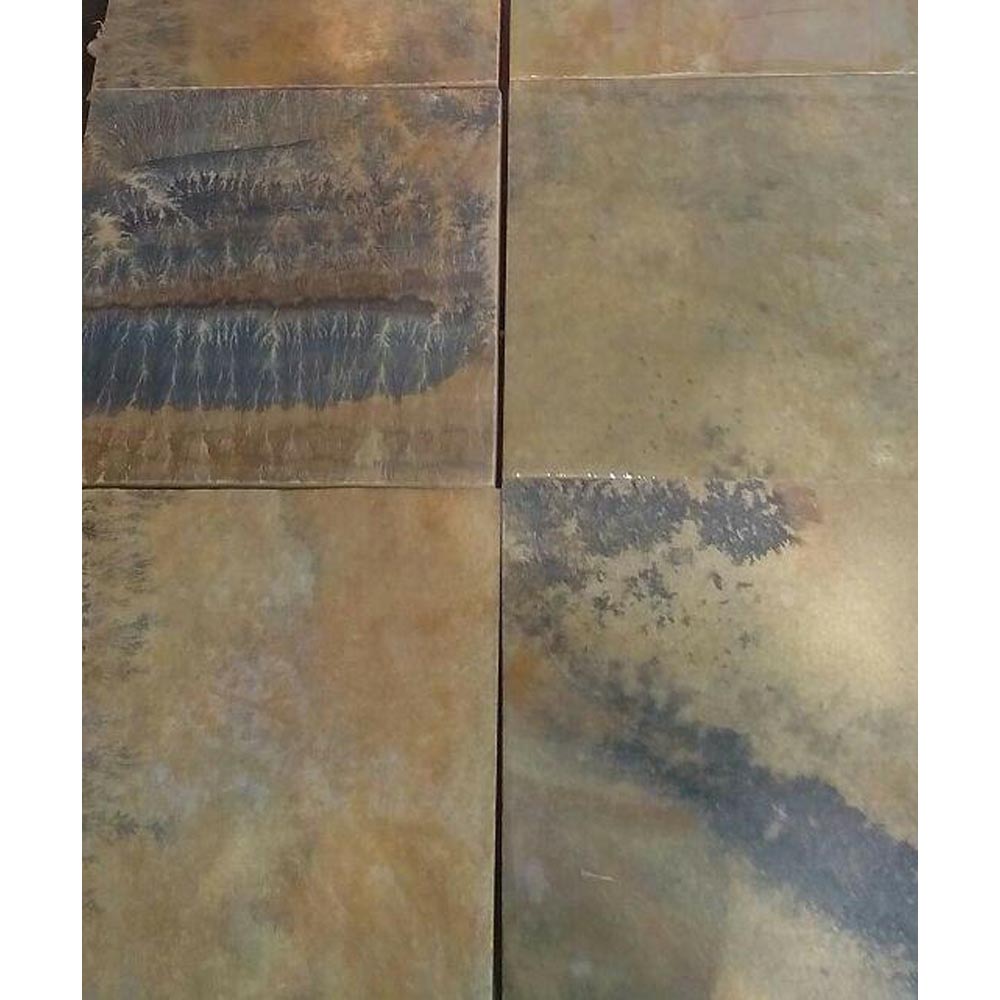 Fossil